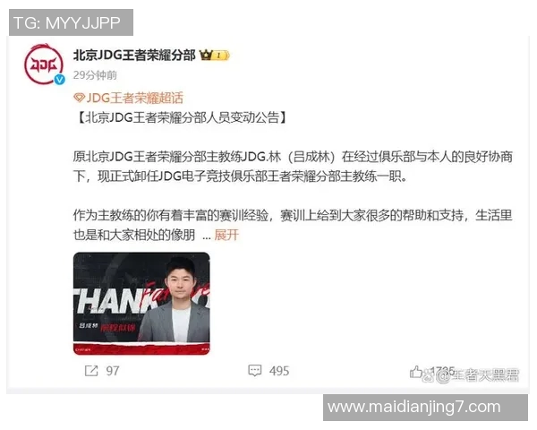 王者荣耀聚焦JDG选手个人能力解析与战术运用探讨